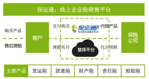 互联网保险的初级阶段 现有模式与个人服务探析